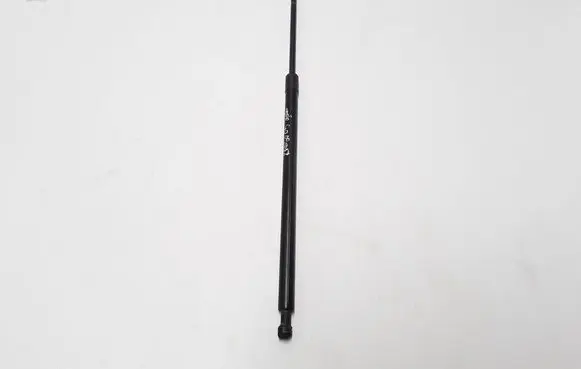Tailgate strut