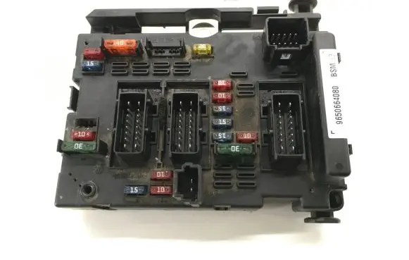 Peugeot 406 Fuse module 9650664080