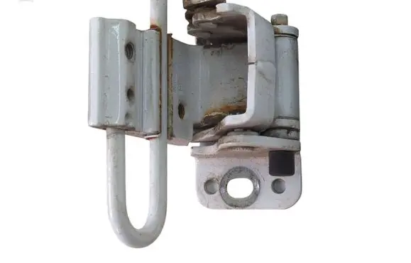 Rear door lower hinge