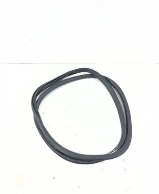 Citroen C4 II Picasso Front door rubber seal 9676258980