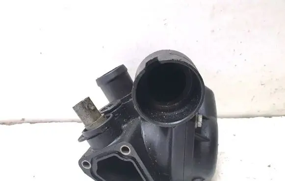 Thermostat/thermostat housing