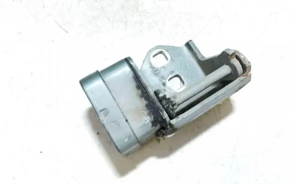 Renault Megane II Rear door lower hinge