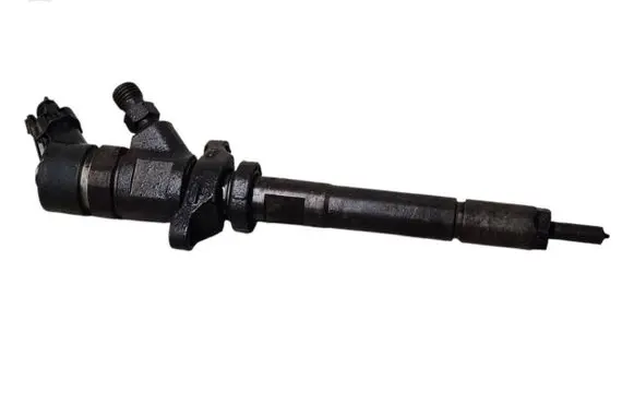 Citroen Berlingo Fuel injector 0445110239