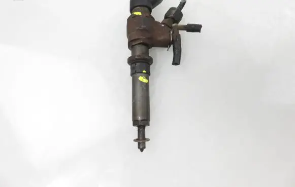 Peugeot Partner Fuel injector 9636819380