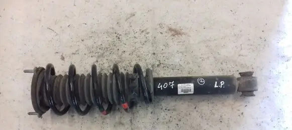 Peugeot 407 Front shock absorber with coil spring