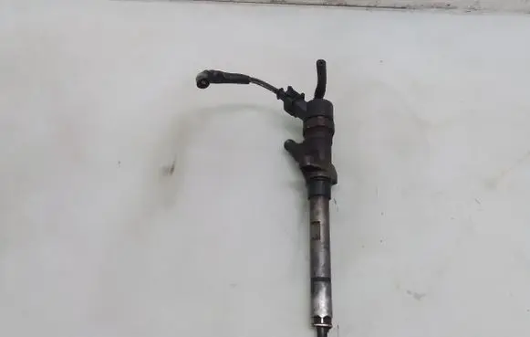 Peugeot 607 Fuel injector 0445110036