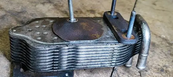 Oil filter mounting bracket
