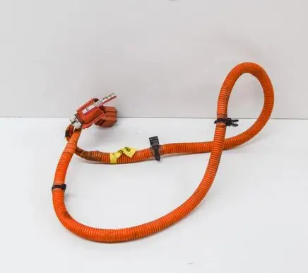 Tesla Model S Other wiring loom 600738300C