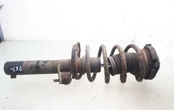 Skoda Octavia Mk2 (1Z) Front shock absorber with coil spring