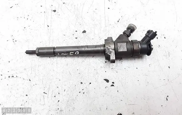 Citroen C3 Picasso Fuel injector 0445110311