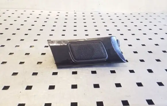 Front door high frequency speaker