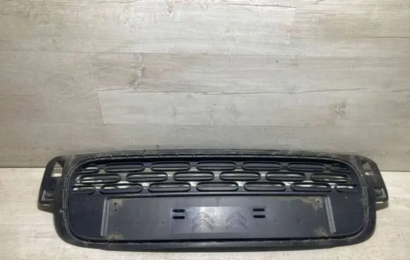 Citroen C3 Front bumper lower grill 9812061877