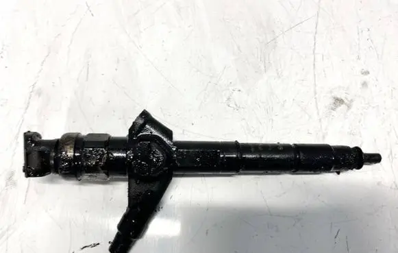 Nissan Pathfinder R51 Fuel injector 16600EB300 01H12775