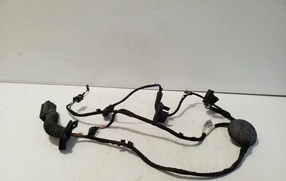 Rear door wiring loom
