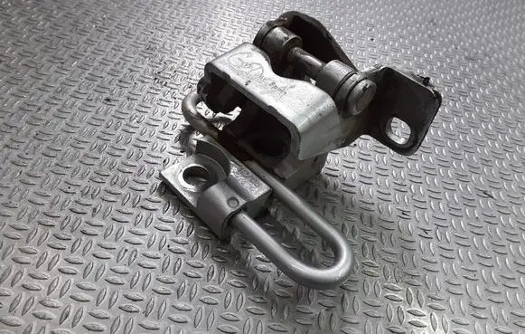 Volkswagen Golf Plus Rear door lower hinge
