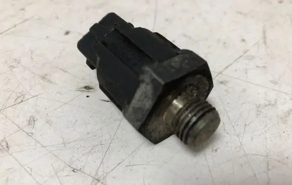 Renault Scenic I Detonation knock sensor 