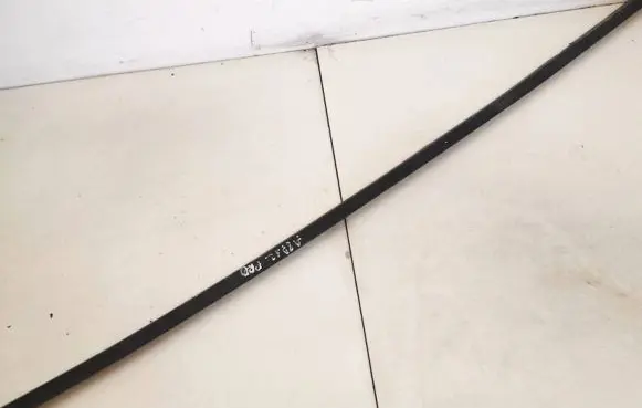 Fiat Bravo Front door glass trim molding 