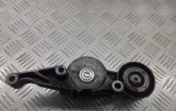 Volkswagen PASSAT B6 Alternator belt tensioner pulley 03G903315C