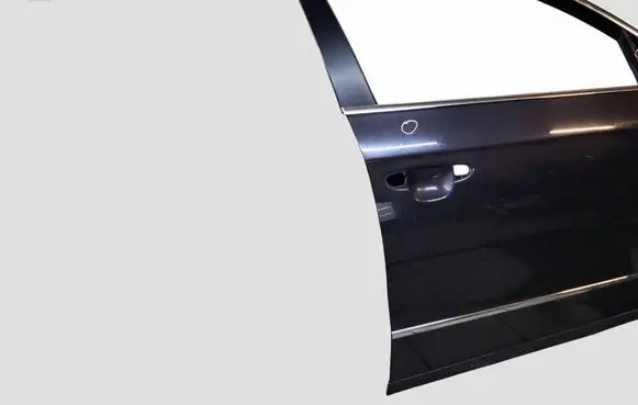 Volkswagen PASSAT B6 Front door