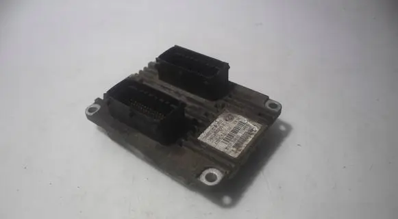 Engine control unit/module ECU