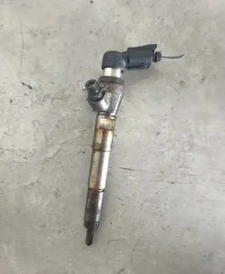 Nissan Qashqai Fuel injector H8200704191