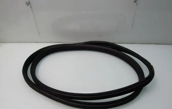Honda e:Ny1 Rubber seal rear door 