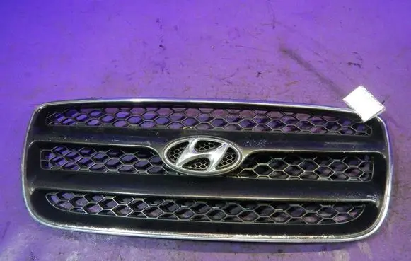 Hyundai Santa Fe Front grill E86561-2B000