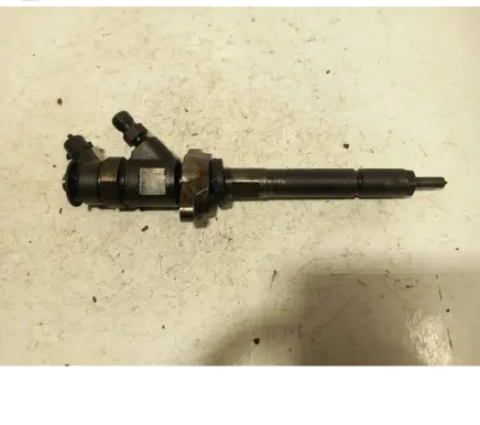 Citroen C4 I Fuel injector 0445110311