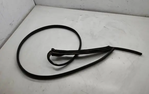 Seat Alhambra (Mk2) Rubber seal front door window/glass 