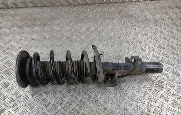 Jaguar E-Pace Front shock absorber with coil spring J9C318045AF