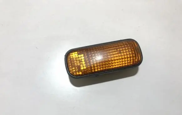 Front fender indicator light
