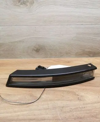 Volkswagen PASSAT B6 Front indicator light 3C0953041E