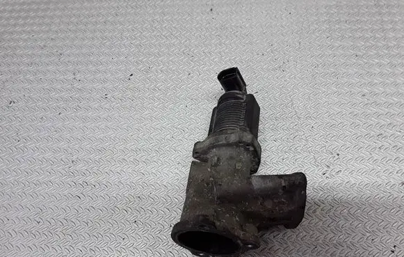 Fiat Punto (188) EGR valve