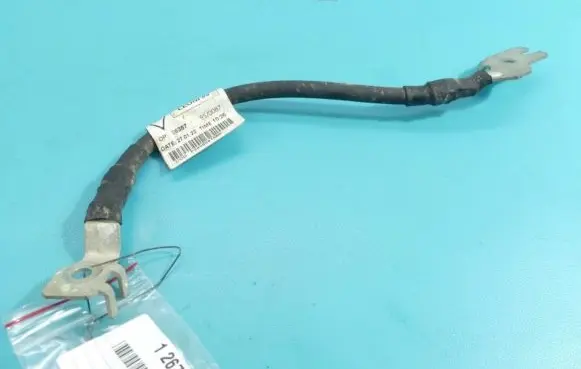 Dacia Sandero III Negative earth cable (battery) P240809168R IMPRK1267216