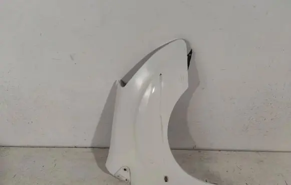 Citroen Berlingo Fender