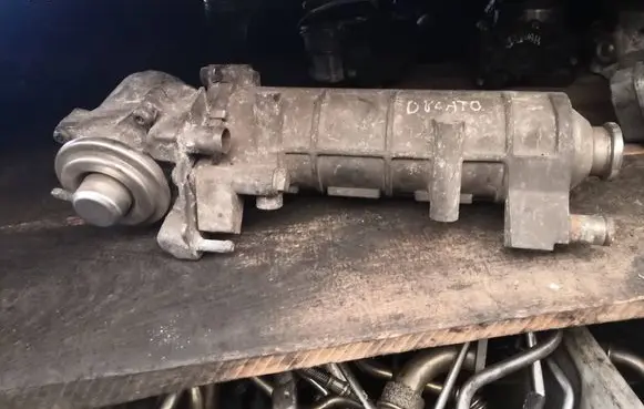 Fiat Ducato EGR valve cooler 504136967
