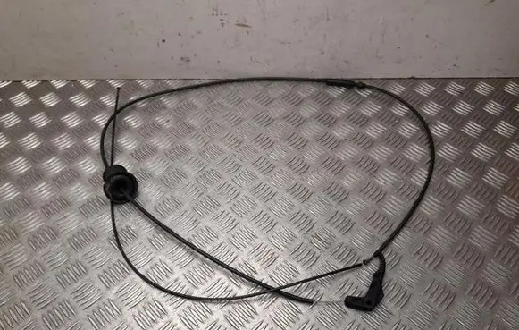 Tailgate/trunk strut/damper