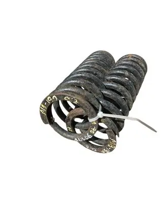 Rear coil spring