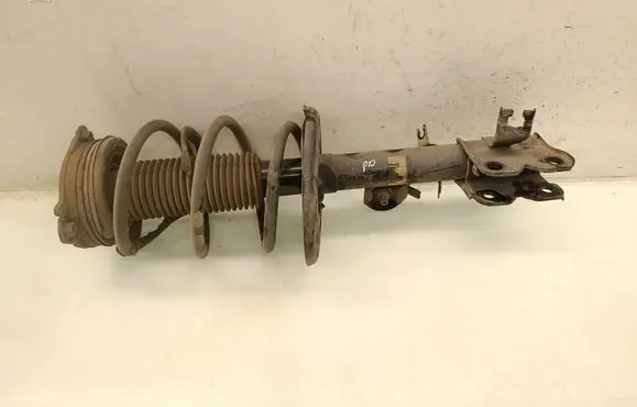 Nissan Murano Z52 Front shock absorber with coil spring 