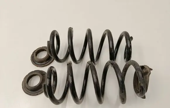Rear coil spring