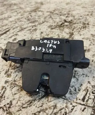 Citroen C4 Cactus Tailgate/trunk/boot lock/catch/latch 9816195380
