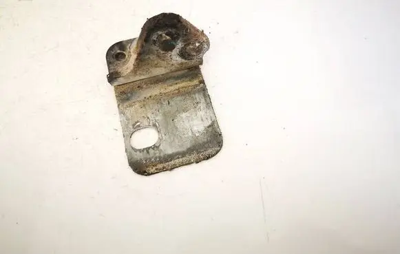 Volkswagen Golf IV Rear door lower hinge 