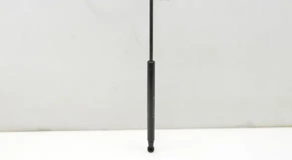 BMW 4 F32 F33 Tailgate strut 7295205