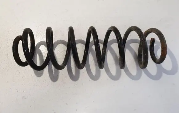 Rear coil spring