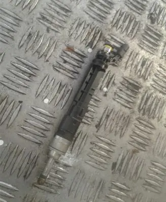Renault Scenic IV - Grand scenic IV Fuel injector 166001525R