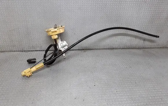 BMW 3 E46 Fuel level sensor 221824055006