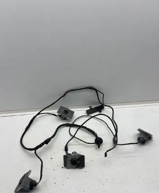 Mercedes-Benz CLS C219 Parking sensor (PDC) wiring loom 0015427418 A2198851367