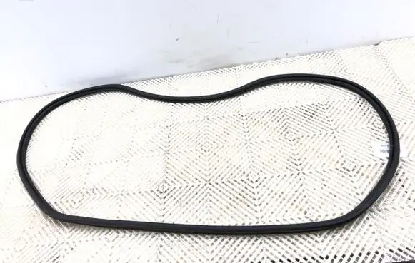 Renault Arkana Rubber seal front door (on door) 