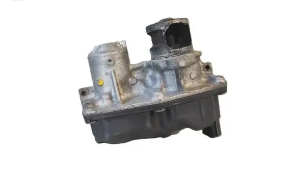 Renault Trafic III (X82) EGR valve 147105982R 921209863 HMLGT8286R
