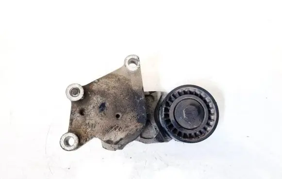 Citroen C3 Generator/alternator belt tensioner